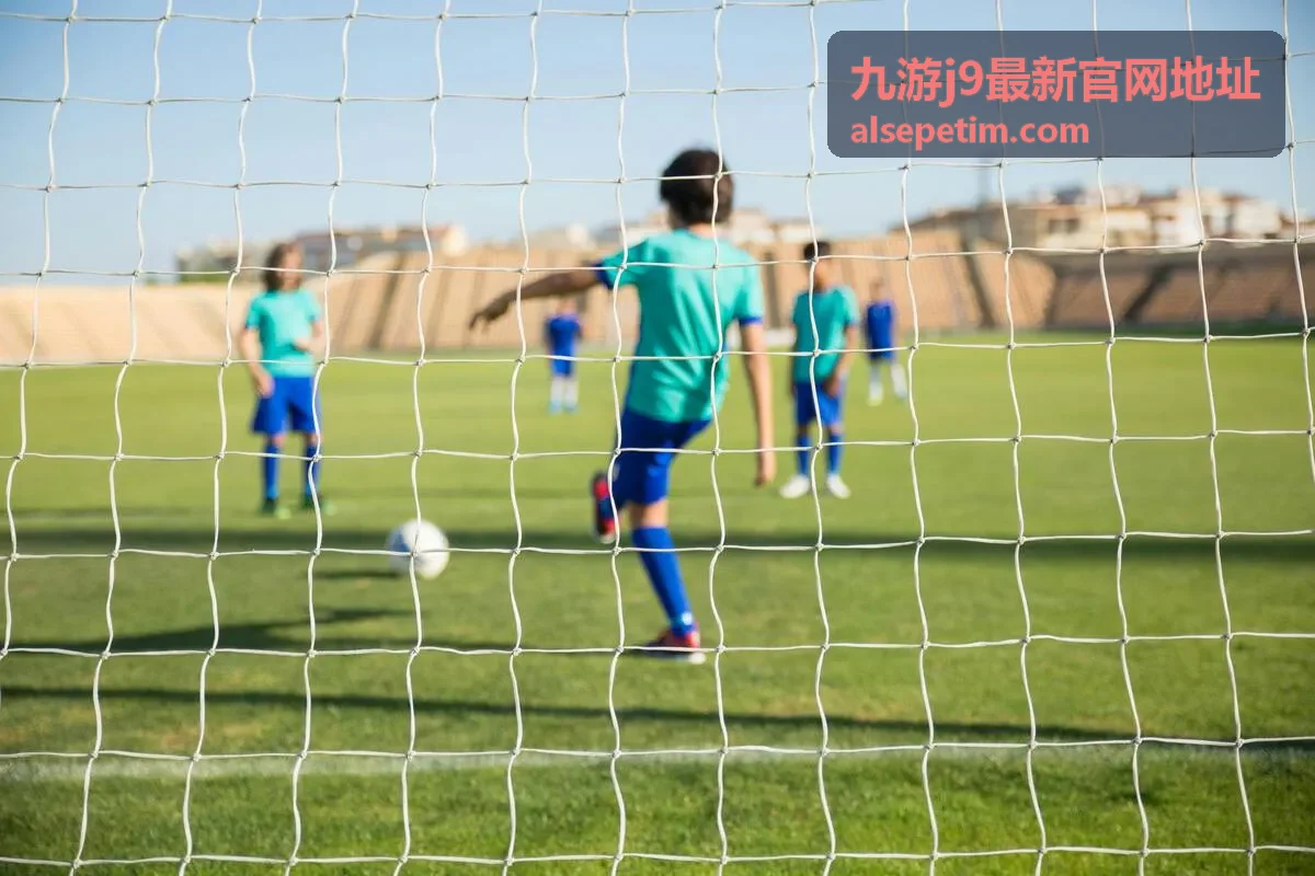 九游j9最新官网地址入口核对界面示意